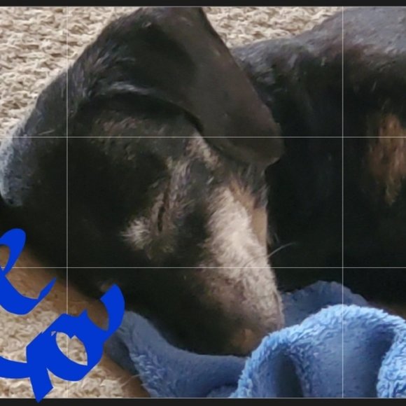 When u miss someone or something ♥️♥️ - Picture 7 of 9